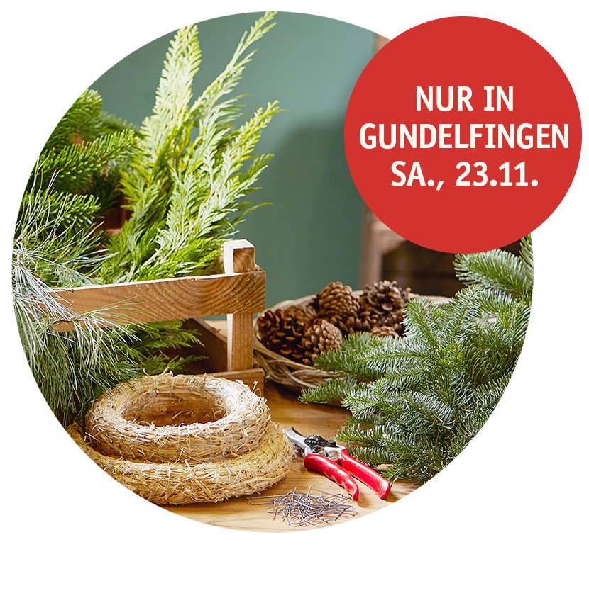 teaser-workshop-gundelfingen2.jpg