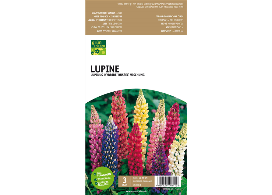 Lupine