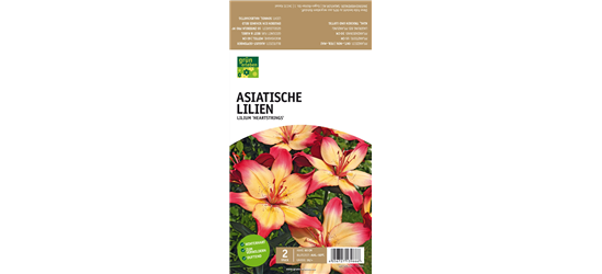 Asiatische Lilien