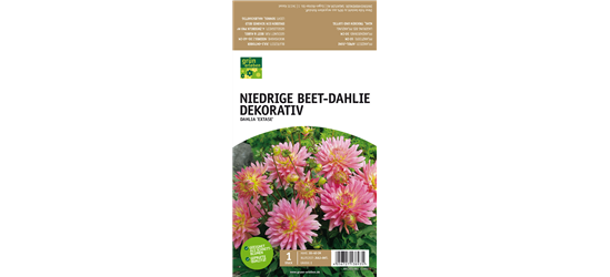 Niedrige Beet-Dahlie, Dekorativ