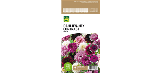 Dahlien-Mix Contrast