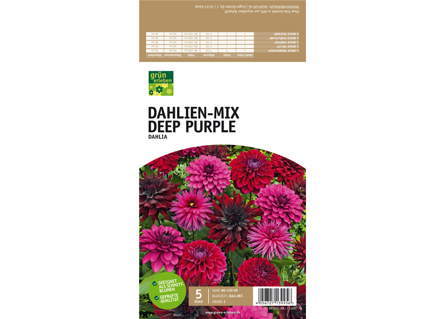 Dahlien-Mix Deep Purple