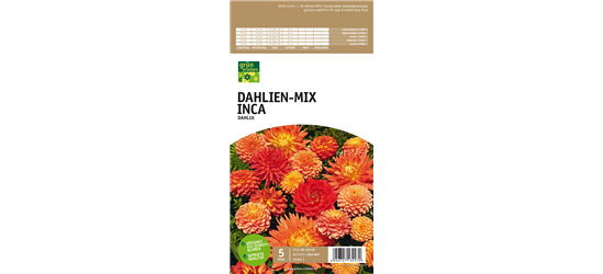 Dahlien-Mix Inca