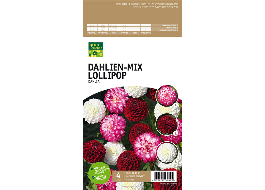 Dahlien-Mix Lollipop