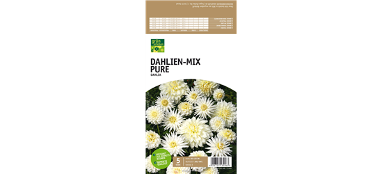 Dahlien-Mix Pure