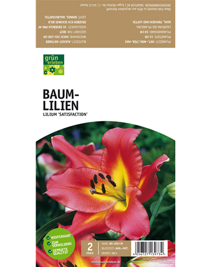 Baum-Lilien