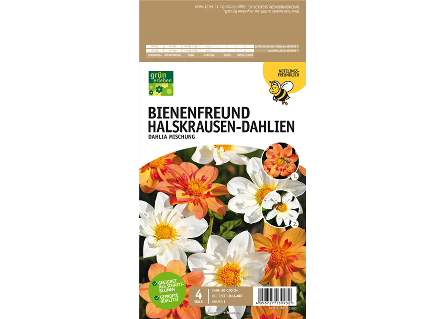 Bienenfreund Halskrausen-Dahlien