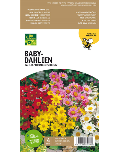 Bienenfreundliche Baby-Dahlien