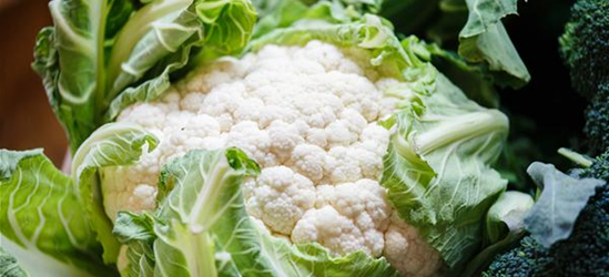 Brassica oleracea var. botrytis