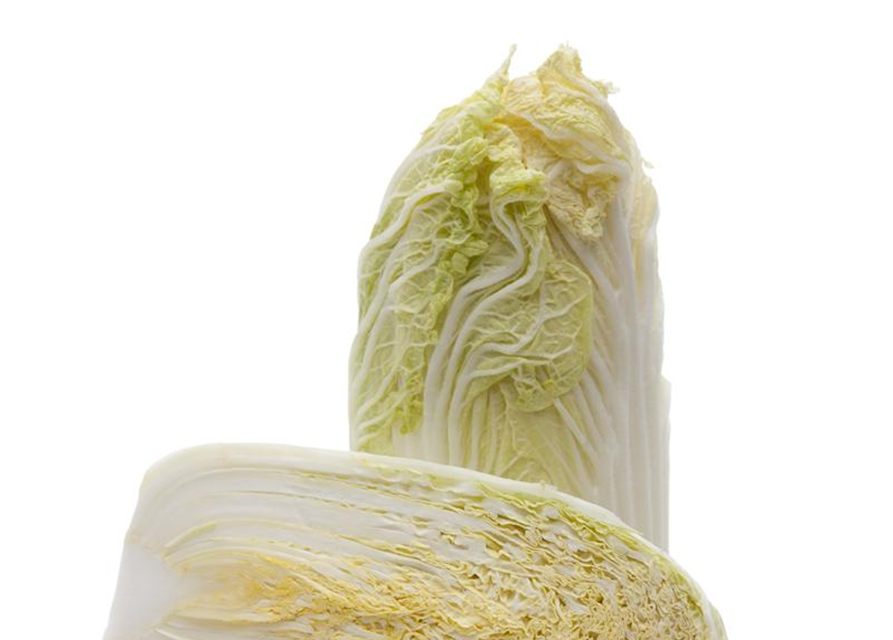 Brassica rapa subsp. pekinensis