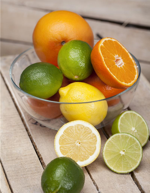 Citrus limon