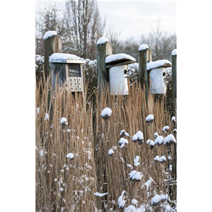 WEIHNACHTLICHE STIMMUNG IM GARTEN